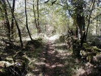 Le Puy en Velay